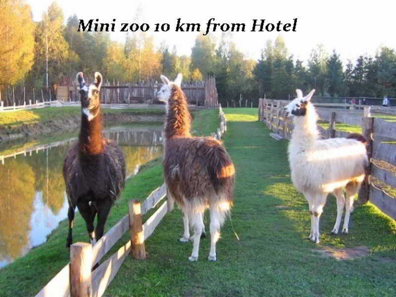 Hotel Pajurio Vieskelis Klaipėda Eksteriør billede